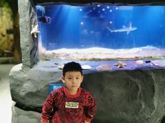 -MR.ZOO小小动物元室内动物园(沈阳沈河盛京中心)