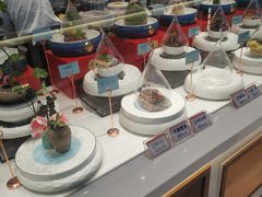 -新何记(青年东路店)