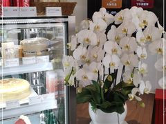 -Peet's Coffee皮爷咖啡(大学路店)