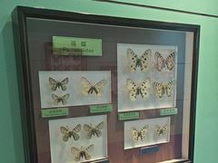 -上海昆虫博物馆