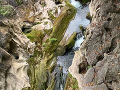 -黔府豆米火锅野菜馆(南马店)