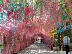 -光明农场大观园