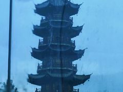 -龙华素斋(龙华路店)