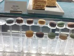 -海豚湾·大堂吧(厦门佰翔波特曼七星湾酒店)