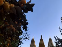 -北京石刻艺术博物馆(五塔寺)