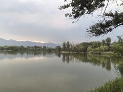 -翠湖国家城市湿地公园