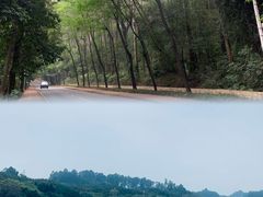 -南国桃园旅游度假区