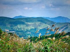 -东白山