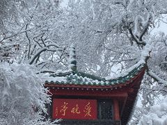 -岳麓山风景名胜区