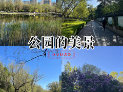 -满都海公园