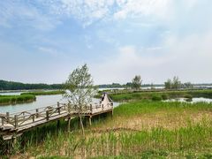 -野鸭湖国家湿地公园