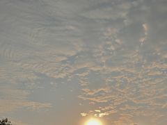 -小洲村