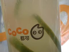 -CoCo都可(地王广场店)