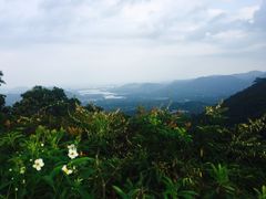 -呀诺达热带雨林