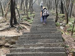 -紫金山山顶公园