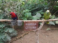 -南宫五洲植物乐园