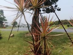 -琅岐红光湖公园