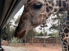 -清迈夜间动物园