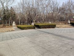 -诸城市恐龙博物馆