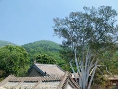 -潭柘寺景区