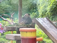 -广州长隆国际大马戏