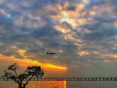 -宝安西湾红树林湿地公园