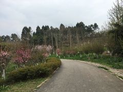 -白鹭湾湿地公园