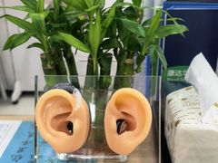 -自然之声助听器·呼吸机(康桥旗舰店)