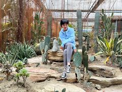 -桉树林A coffee 森林餐厅(三圣乡店)