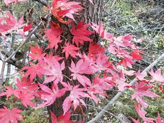 -丹东天桥沟景区