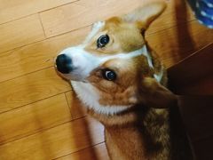 -汉中路(地铁站)