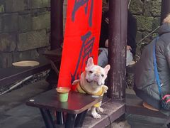 -Metal hands·铁手咖啡