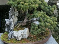 -绮园景区