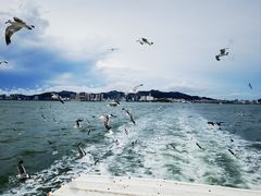 -刘公岛景区