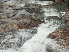 -广州白江湖森林公园