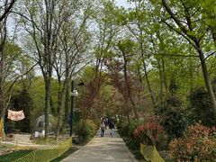 -虞山风景区