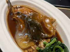 -新光酒家·河豚·海鲜·蟹料理(浦东店)