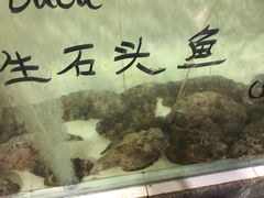 -海盗餐厅