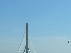 -牛老五羊杂汤(广阳区总店)