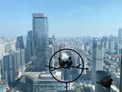 -久匠·纹眉半永久野生眉