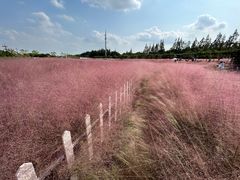 -嘉北郊野公园