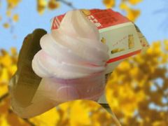 -麦当劳(无锡永乐店)