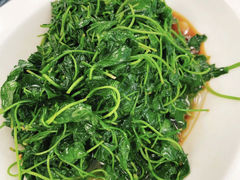 -新名仕新白玉兰餐厅