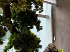 -苏淮景·苏闽融创菜·海鲜(原空港井河轩店)