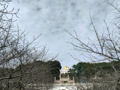 -苏州上方山国家森林公园