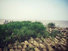 -瀛洲公园