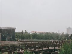 -绿岛公园(滨海新区)