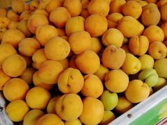 -全而廉(靖宇中路店)