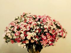-弗劳尔花艺坊(龙涛店)