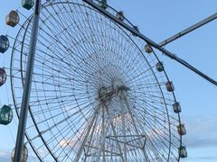 -飞来湖湿地公园